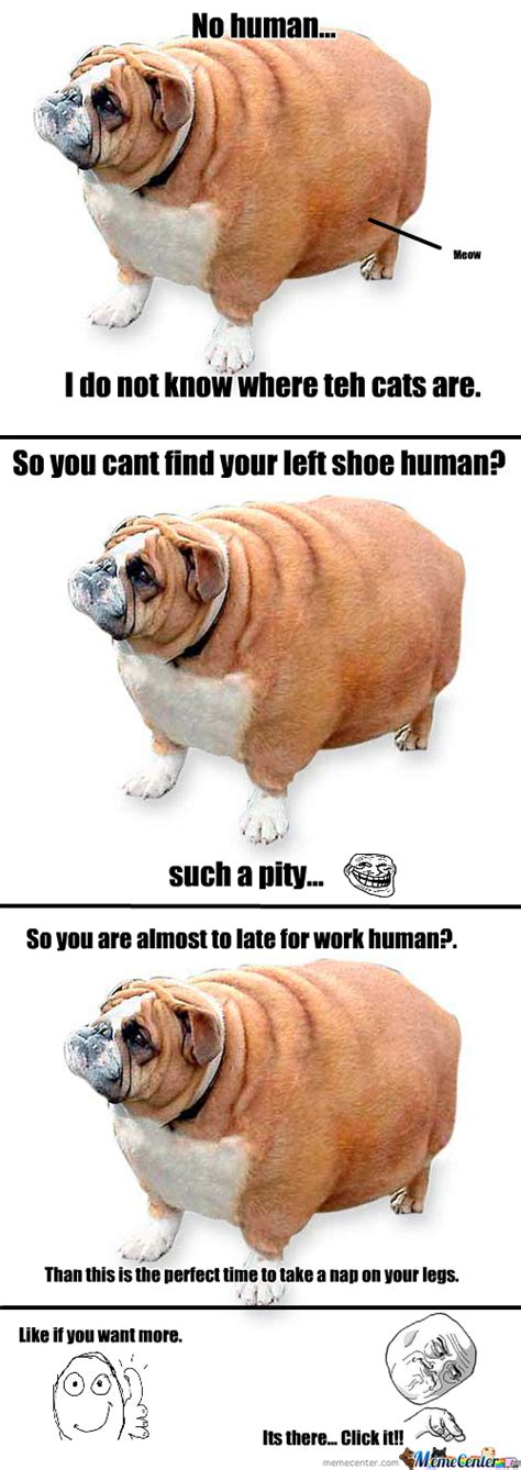 Fat Dog Meme Give Me I M Lovin It More Mcdonalds Fat Dog Memes S