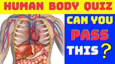 Can You Pass These Human Body Quiz Questions How Much Do You Know About The Human Body Quiz