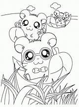 Coloring Pages Kids Hamtaro Hamster Para Hamsters Colorir Kawaii Jerry Tom Anime Fall Printable Pintar Popular 4kids Coloringhome Salvo sketch template