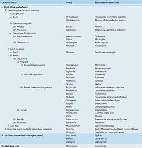 Classification Of Medically Important Bacteria Review Of Medical
