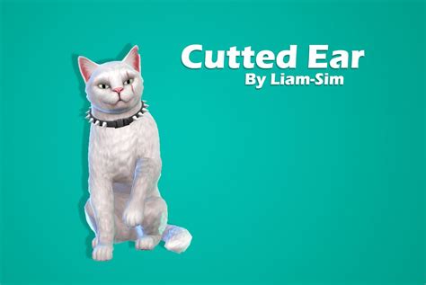 Liam Sim Cutted Ear For Fighting Cats Download Sfs No Ad Fly