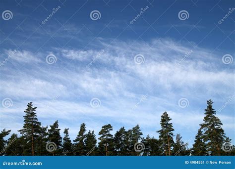 Clouds Over Forest Stock Image Image Of Outdoor Nature 4904551