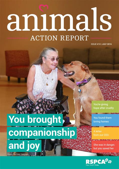 Rspca Nsw Animals Action Report July By Rspca Nsw Issuu