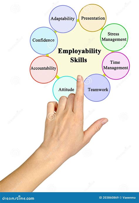 Skills Which Promote Employability Stock Illustration Illustration Of