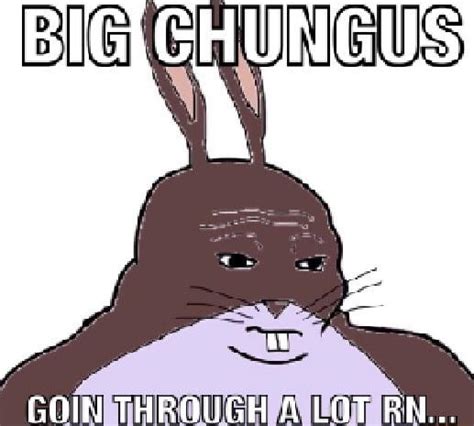 Big Chungus Goin Through A Lot Ironic Big Chungus Memes Know Your Meme