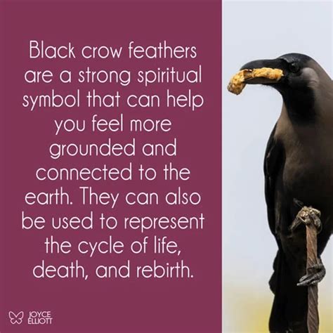Crow Feather Meaning And Symbolism 5 Incredible Messages Joyce Elliott