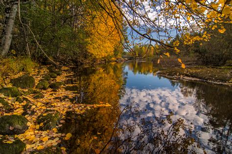 Wallpaper Blue Autumn Trees Lake Green Water Colors Leaves