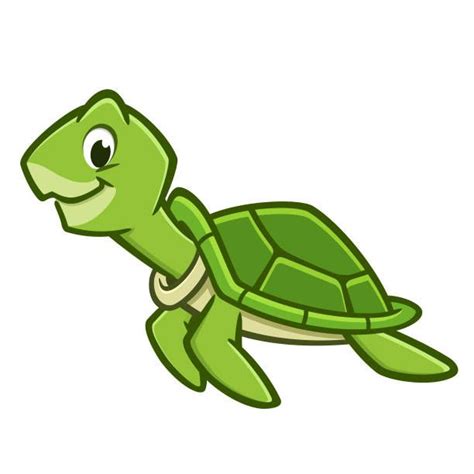 Best Turtle Illustrations Royalty Free Vector Graphics And Clip Art