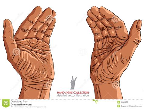 Protecting Empty Hands With Place For Small Object Stock Vector