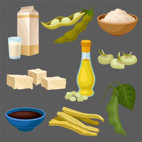 Conjunto De Productos Alimenticios De Soja Leche Aceite Salsa Tofu