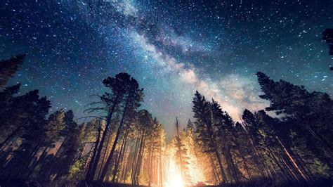 Minimalist aesthetic wallpapers for free download. Trees Under Starry Sky HD Dark Aesthetic Wallpapers | HD ...