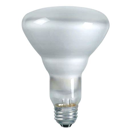 Philips Duramax 65 Watt Incandescent Br30 Indoor Flood Light Bulb 12