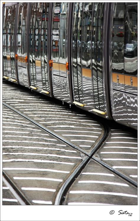 Urban Zebra | Zebra, Urban, Inspiration