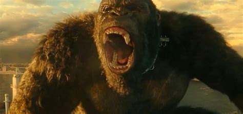 Godzilla Vs Kong Revela Nuevas Imágenes Junto A Sus Juguetes