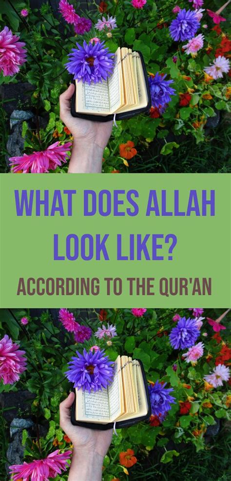 What Does Allah Look Like According To The Quran Allah Quran Like