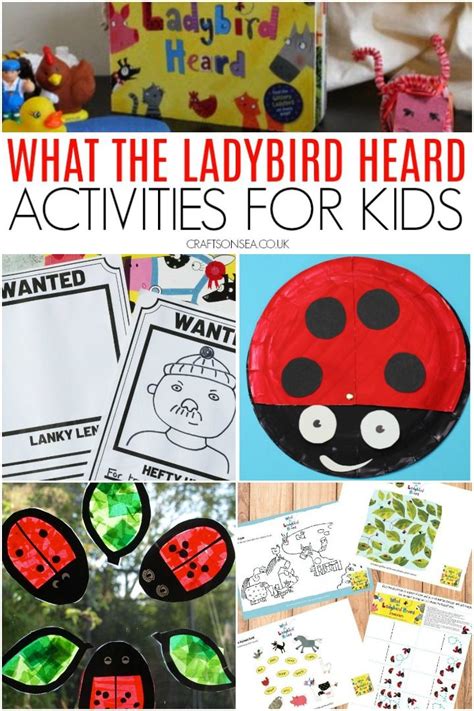 What The Ladybird Heard Activities And Crafts What The Ladybird Heard