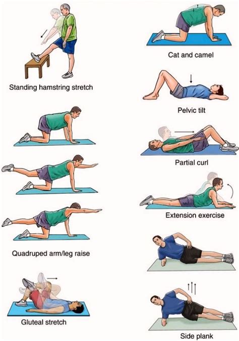 Back Strengthening Exercises Back Strengthening Exercises 4 Lower