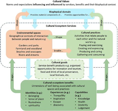 Cultural Dynamics Model Download Scientific Diagram