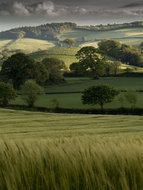 The Rolling Hills Of Devon England Landscape Landscape Photography