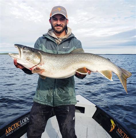 Lake Trout Fishing Trophy Fishing Experience Arctic Lodges