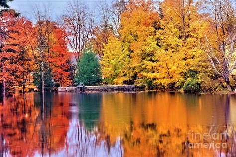 Fall Trees Reflection In A Lake Photograph By George Oze Fine Art America