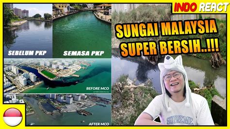 Namun khazanah ini telah dimusnahkan oleh kerakusan manusia mengeksploitasinya. 🔴 Perbedaan SUNGAI di MALAYSIA Sebelum dan Semasa PKP # ...