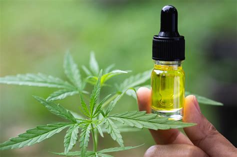 What Is Cbd Oil And Is It Safe To Give To Children And Pets
