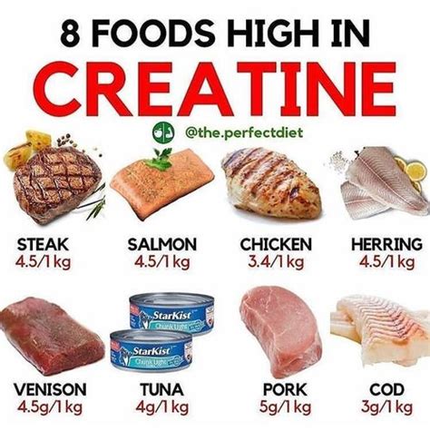 Foods Rich In Creatine