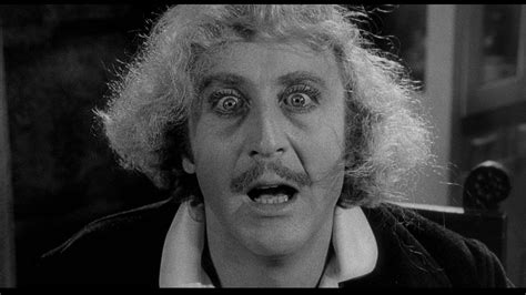 Young Frankenstein 1974 Very Nice And Funny Movie Young