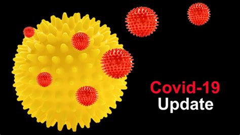 We now have a complete writeup of the efficacy data from the oxford/az vaccine effort in the lancet, and i'm glad to see it. Coronavirus Notebook: Vaccine Pooling, WHO's Law Lab & The ...