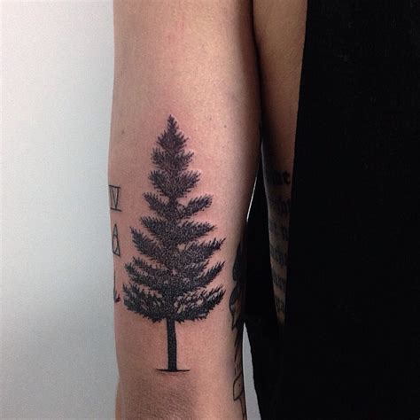 Pine Tree Tattoos Meaning