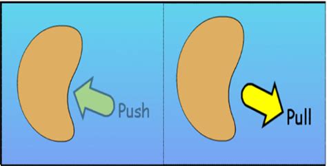 A closer look to pull and push transactions. Science for Primary School ( Year 2): UNIT 8: PUSH AND PULL