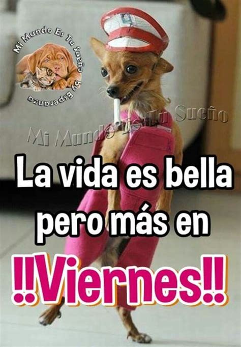 Feliz Viernes Feliz Viernes Gracioso Citas Sobre Lecciones De Vida Buenos Dias Con Humor