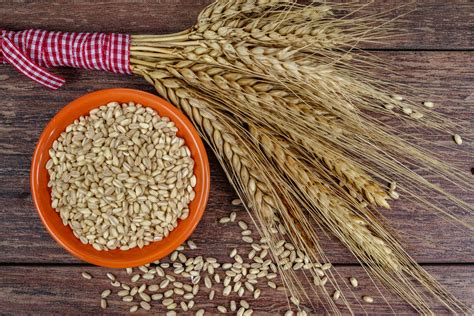 Whole Grains 101 The Miracle Food