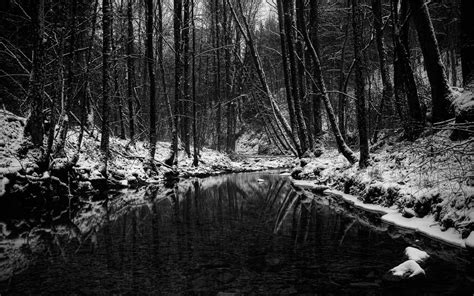 Cute wallpapers wallpaper backgrounds iphone wallpaper black and white aesthetic aesthetic colors flower aesthetic black white black and white landscape trees black & white nature forest natural fog dark forest gloomy branches mistery. Shades Of Black: The History and Evolution of Black Metal ...