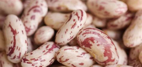 Maybe you would like to learn more about one of these? Fagioli borlotti, freschi o secchi qual è la cottura ...
