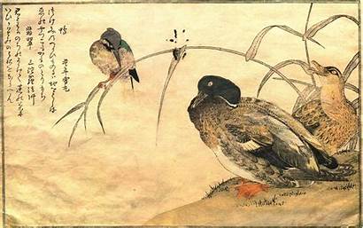 Oriental Birds Japanese Artwork Desktop Backgrounds Wallpapers