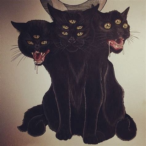 Cat Black Horror Evil Black Cat Art Cat Art Black Cat Tattoos