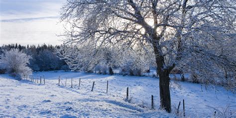 10 Winter Wonderlands To Energize Your Spirit Photos
