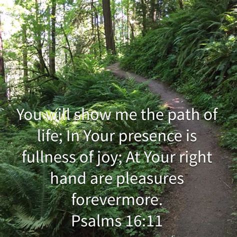 Psalms New King James Version Nkjv Psalms Bible Apps