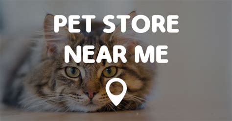 Pet Store Near Me Map Points Near Me