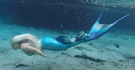 There Is Some Historical Evidence That Mermaids Were Actually Real
