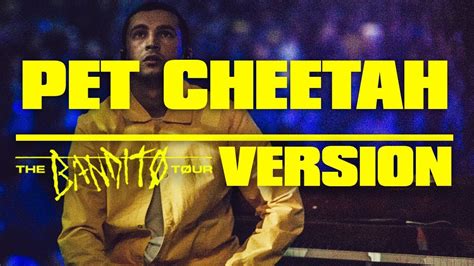 Pet Cheetah Bandito Tour Version Twenty One Pilots Youtube