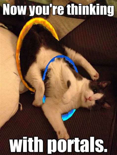 Portal Couch Cat Thinking With Portals Know Your Meme