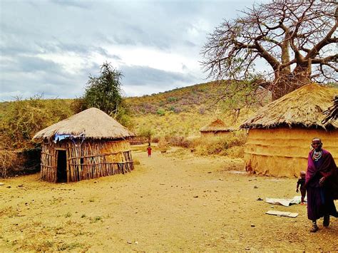 Terre Massaï Tanzanie Boma Afrique Village Cabane Maison Africain Traditionnel Sec