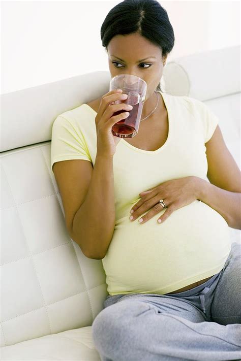 Pregnant Woman Drinking Photograph By Ian Hooton Science Photo Library