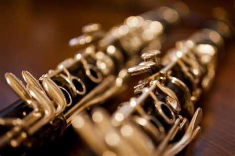 20 Of The Best Clarinet Players Of All Time Musician Wave