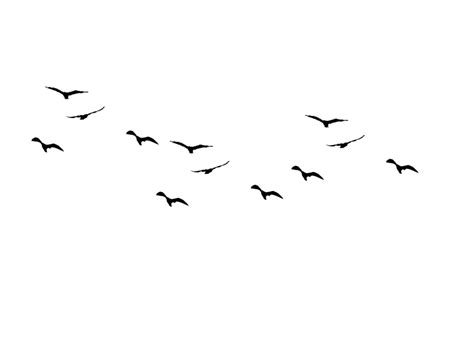 Free Birds Flying Away Silhouette Download Free Birds Flying Away