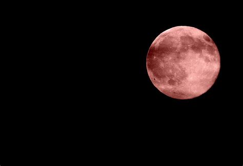 Red Moon Darkness Night Free Photo On Pixabay Pixabay