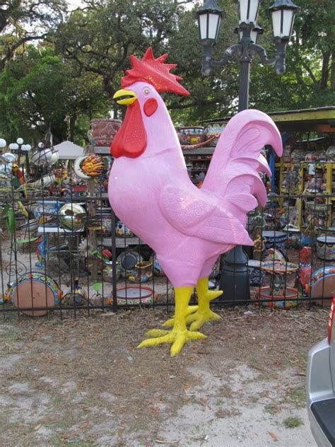 1000 Images About Cocks On Pinterest Crate Decor The Birds And Roosters